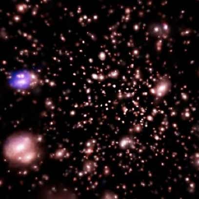Figure from the project: Studying the survival of galaxies in hydrodynamical simulations of clusters