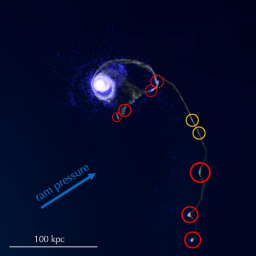 Figure from the project: Collecting Shells in the Tides: Formation of Dwarf Galaxies From Mergers Inside Galaxy Clusters